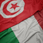 11progetto ELMED Italia Tunisia