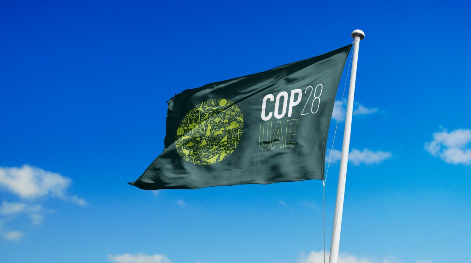 11cop28