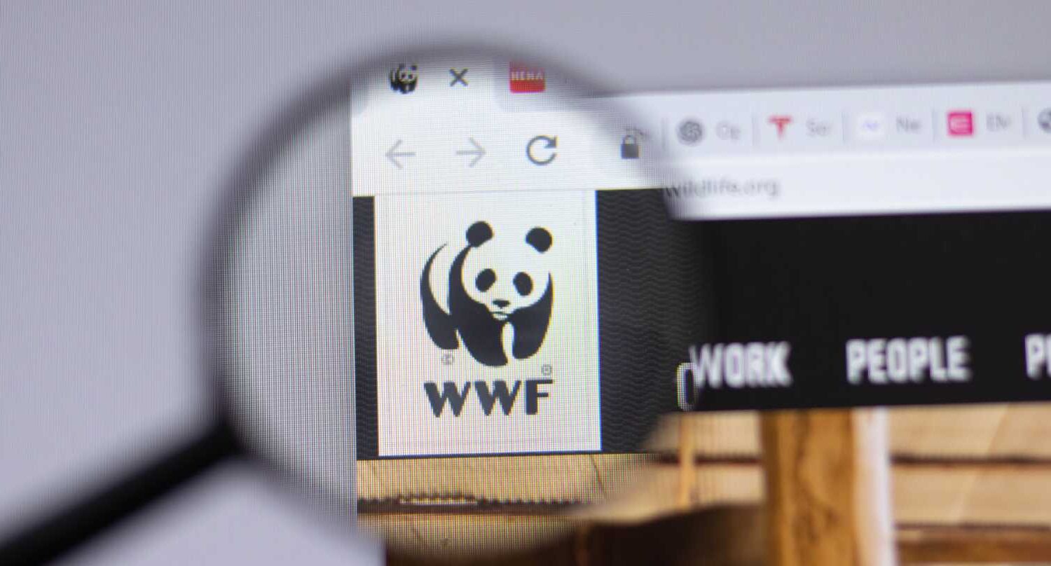 11wwf