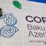 11Cop29