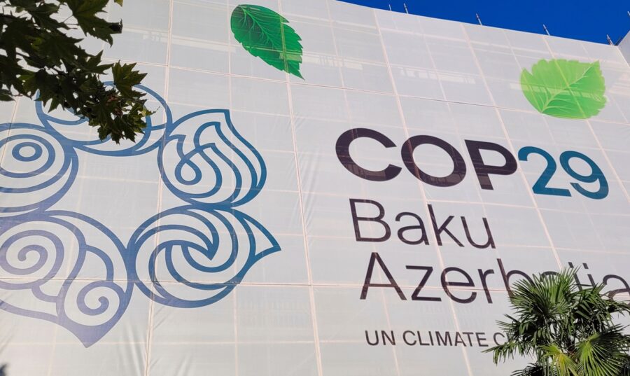 11Cop29